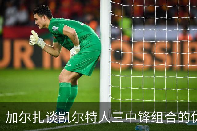 加尔扎谈凯尔特人三中锋组合的优势与团队能力